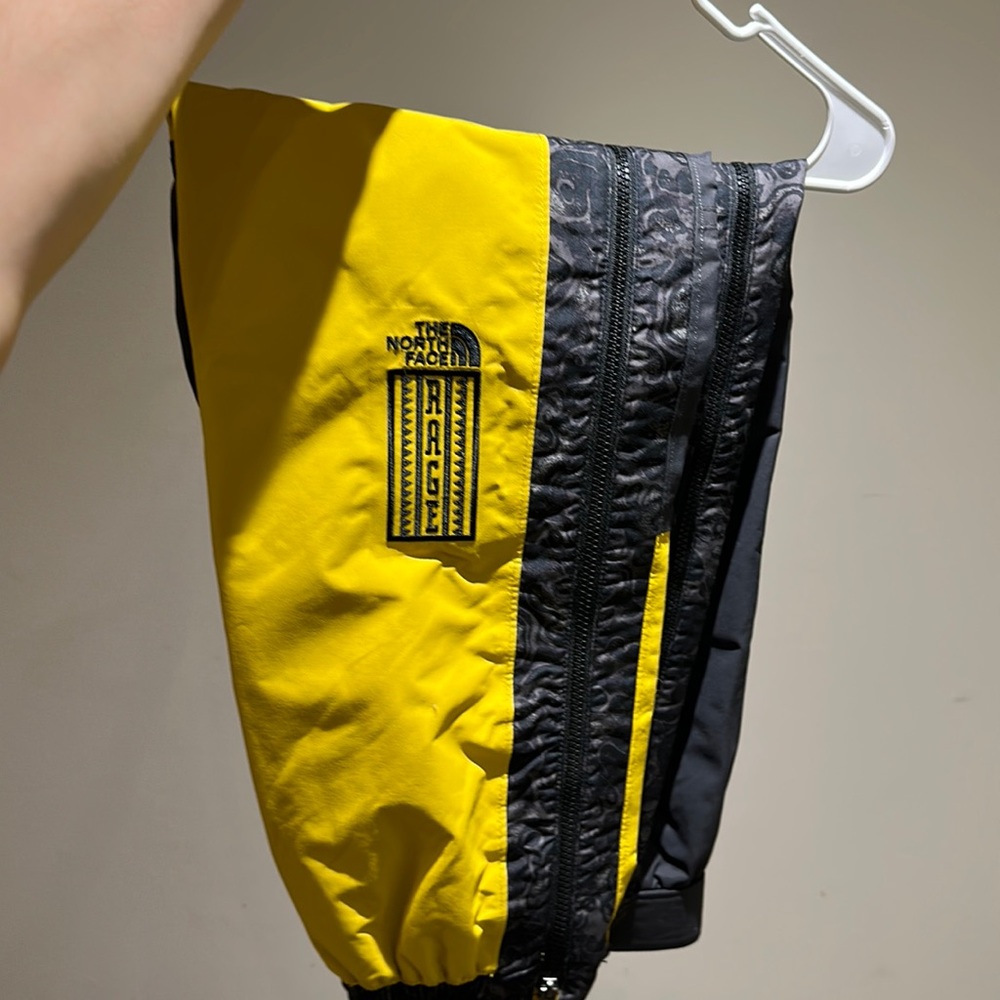 The north face ski pants
